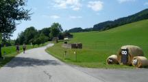  Blick auf die Wanderstrecke am Ende von Drfl 