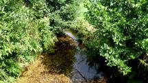  Blick auf die "Groe Ysper" 