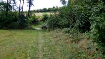  Blick auf die Wanderstrecke zur "Groen Ysper" 