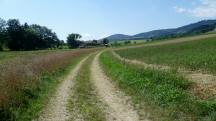  Blick auf die Wanderstrecke 