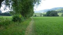 Blick auf die Wanderstrecke 