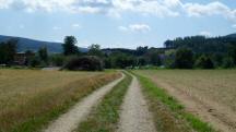  Blick auf die Wanderstrecke nach Prgarten 