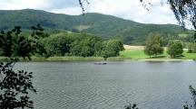  nochmals ein Blick auf den Puschacher Teich 