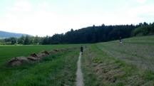  Blick auf die Wanderstrecke 