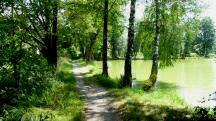  Blick auf die Wanderstrecke entlang des Waldteichs 