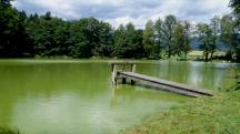  nochmals ein Blick auf den Waldteich 