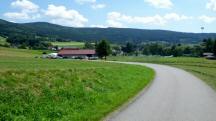 Blick auf die Wanderstrecke auf der Schlossstrae zum Ziel 