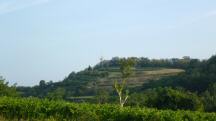 Fernblick zum Fuchsberg mit dem Aussichtsturm "Korkenzieher"