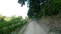  Blick auf die Wanderstrecke 