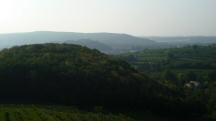 Fernblick vom Aussichtsturm zum Schloss Sitzenberg