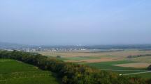 Fernblick vom Aussichtsturm nach Traismauer/Stollhofen