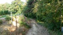  Blick auf die Wanderstrecke 