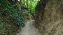  Blick auf die Wanderstrecke im Tobelgraben 