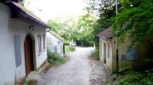  Blick auf die Wanderstrecke im Tobelgraben 