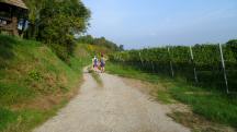  Blick auf die Wanderstrecke 