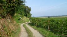  Blick auf die Wanderstrecke 