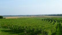  Fernblick nach Frauendorf 