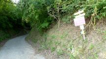  Blick auf die Wanderstrecke 