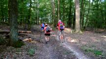  Blick auf die Wanderstrecke 