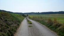 Blick auf die Wanderstrecke auf der Waldlesberger Strae