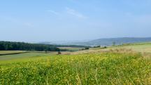 schner Fernblick zum Traisental 