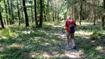  Blick auf die Wanderstrecke 
