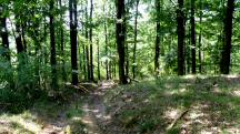  Blick auf die Wanderstrecke 