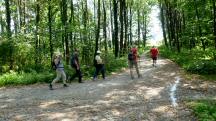 Blick auf die Wanderstrecke bei der Einfgung der mittleren Strecke
