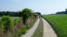  Blick auf die Wanderstrecke 
