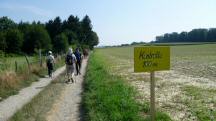  Blick auf die Wanderstrecke mit der Infotafel 
