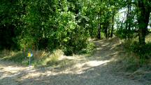  Blick auf die Wanderstrecke in den Wimmergraben 