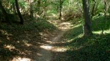  Blick auf die Wanderstrecke im Wimmergraben 