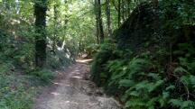  Blick auf die Wanderstrecke im Wimmergraben 
