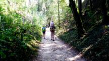  Blick auf die Wanderstrecke im Wimmergraben 