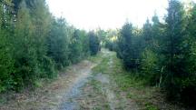  Wanderroute auf dem Gesundheitsweg 