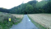  Blick auf die Wanderstrecke 