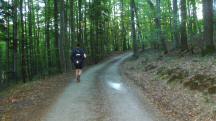  Blick auf die Wanderstrecke 