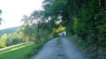  Blick auf die Wanderstrecke 