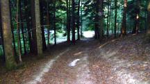  Blick auf die Wanderstrecke 