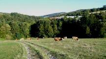  ein schner Blick zurck 