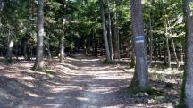  Blick auf die Wanderstrecke 