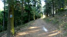  Blick auf die Wanderstrecke 