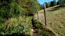  Blick auf die Wanderstrecke 