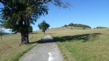  Blick auf die Wanderstrecke 