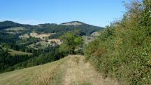 Blick auf die Wanderstrecke mit Blick auf den Hegerberg