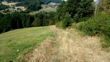  Blick auf die Wanderstrecke 