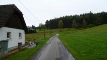Blick auf die Wanderstrecke am Ortsende von Lembach 