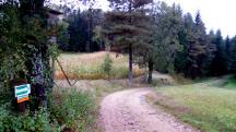  Blick auf die Wanderstrecke 