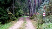  Blick auf die Wanderstrecke 