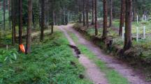  Blick auf die Wanderstrecke 